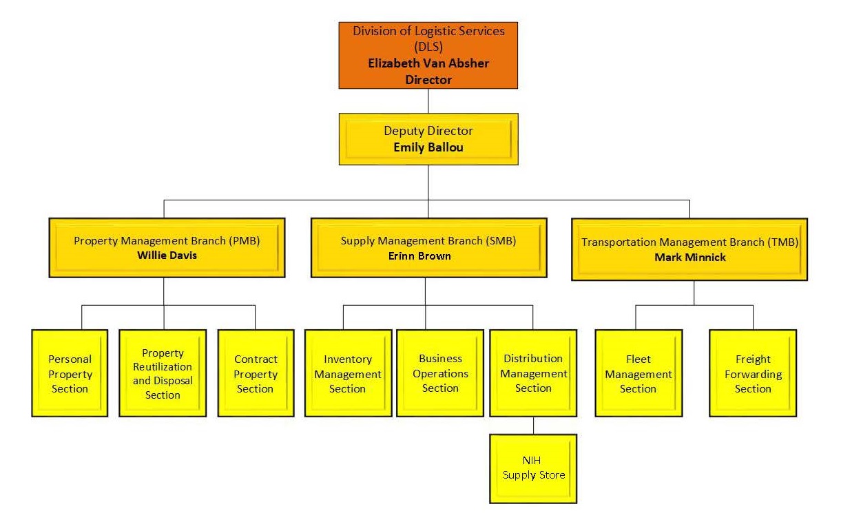 DLS Organizational Structure Chart